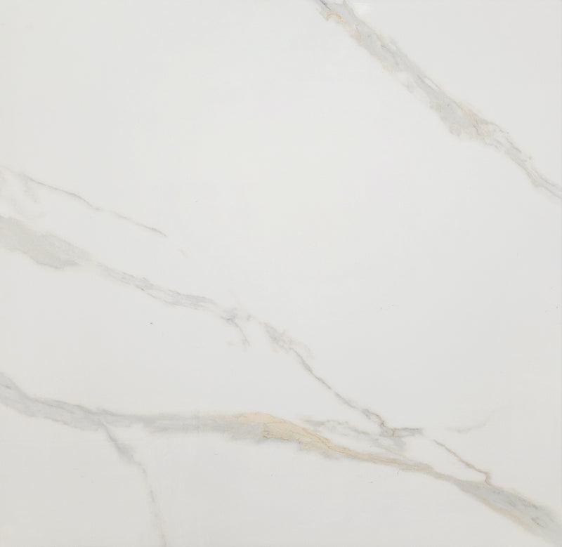 Carrara d polished 24x24