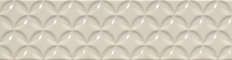 Colour & dimension bright petal decor biscuit 4x16