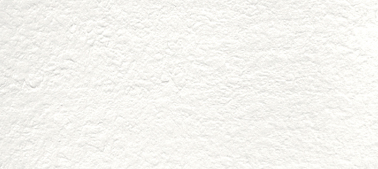 Regal shell white matte 12x24